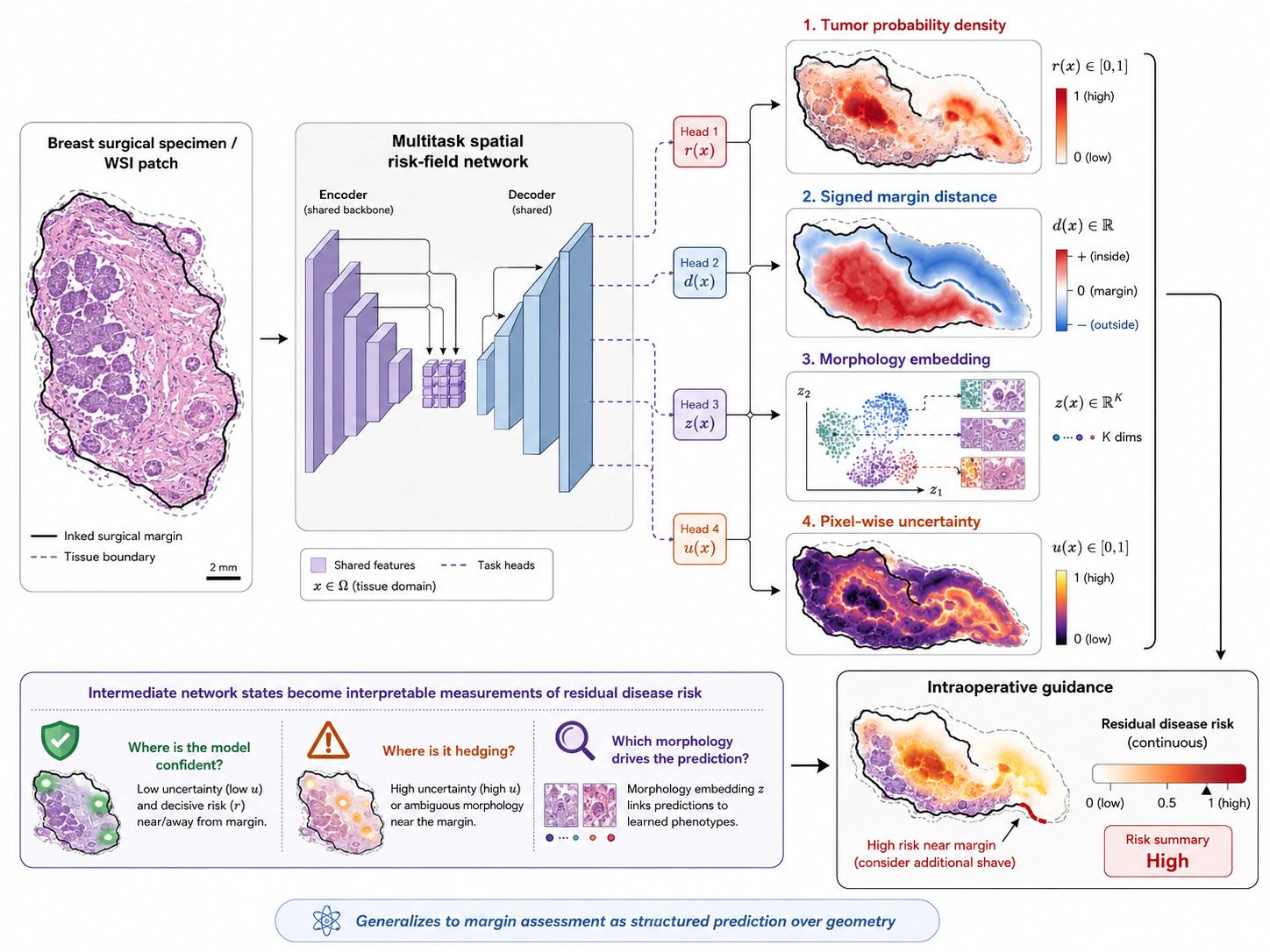 Spatial Risk-Field Learning for Surgical Margins