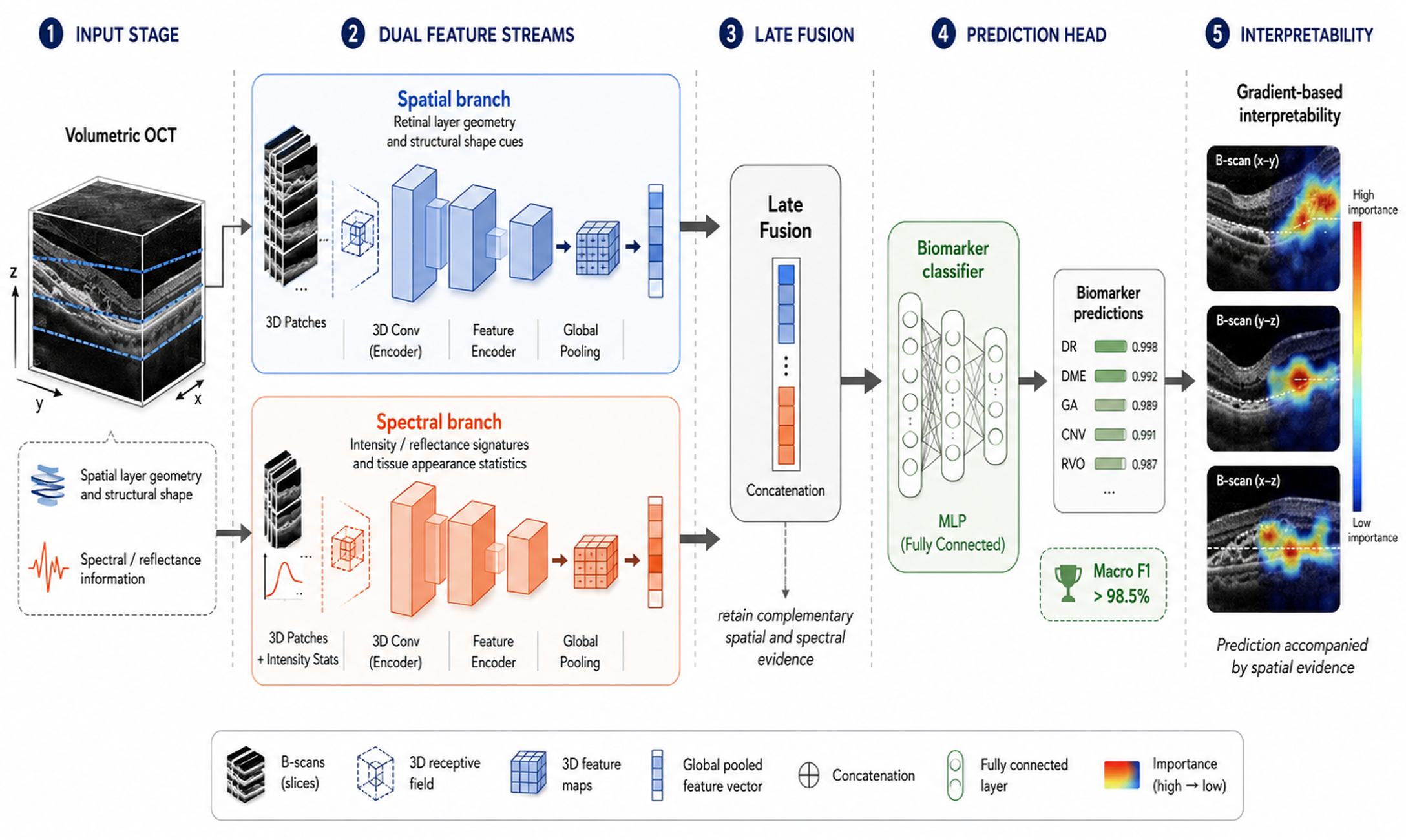 3D OCT Biomarker Detection