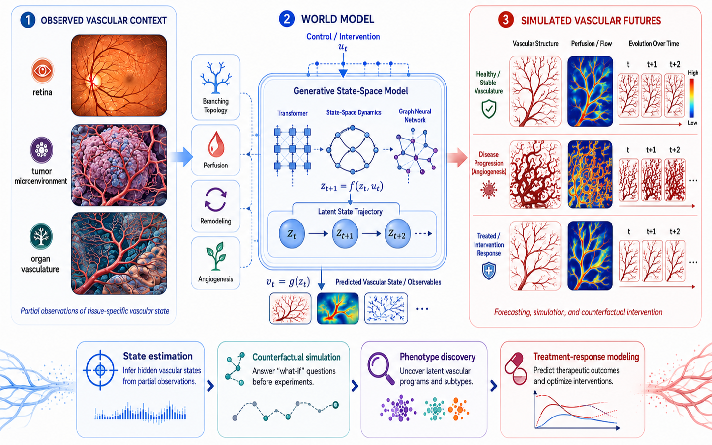 Physics-Consistent Vascular World Models